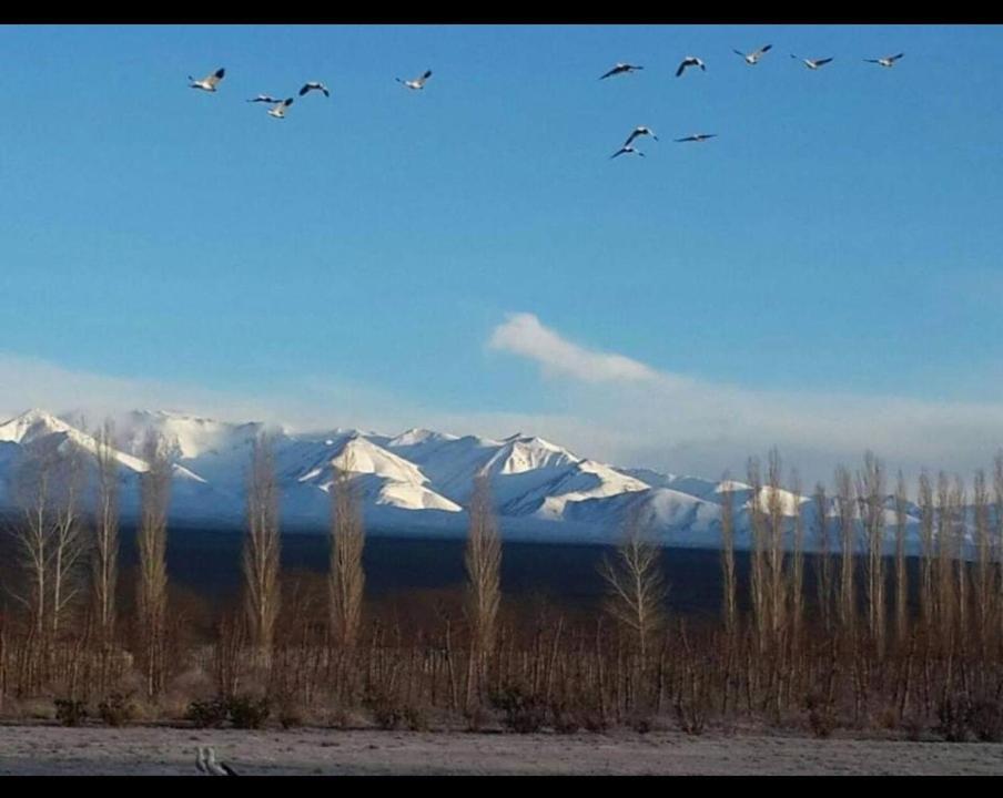 Rio Los Patos Barreal Exteriér fotografie